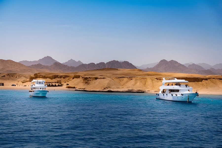 Discover the Marine Paradise: Ras Mohammed Sea Adventure (Sharm El-Shiekh)