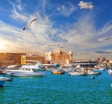 Discover Alexandria: A Day of History and Coastal Beauty