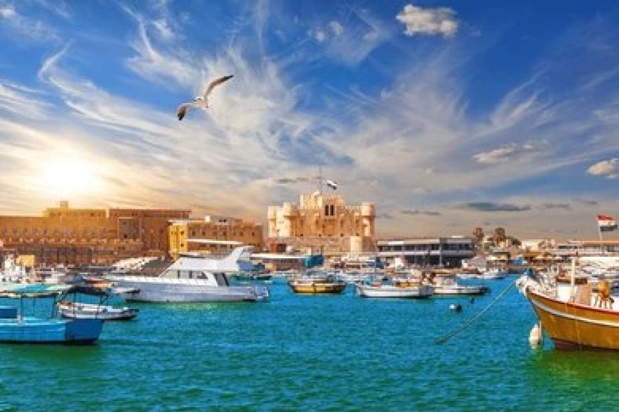 Discover Alexandria: A Day of History and Coastal Beauty